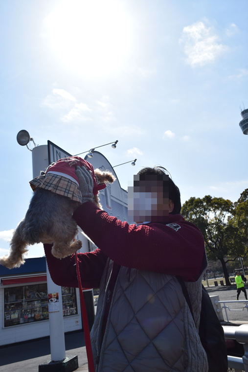 b0242873_18592002.png