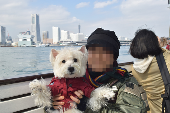 b0242873_19241894.png