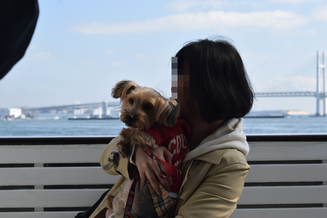 b0242873_19363223.png
