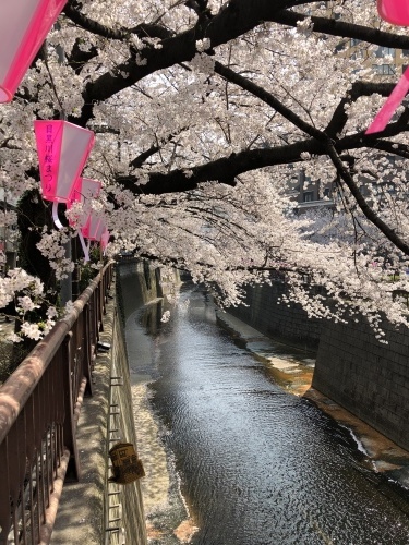 b0176275_22055179.jpeg