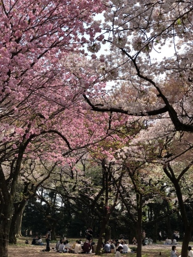 b0176275_22091374.jpeg
