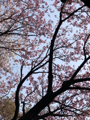 b0176275_22093216.jpeg