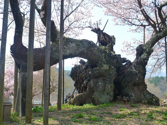 d0351575_20510313.jpg