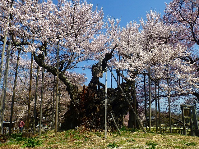 d0351575_20513122.jpg
