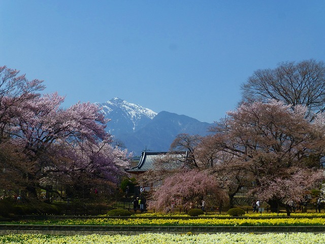 d0351575_20563035.jpg