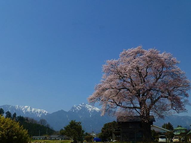 d0351575_21325725.jpg