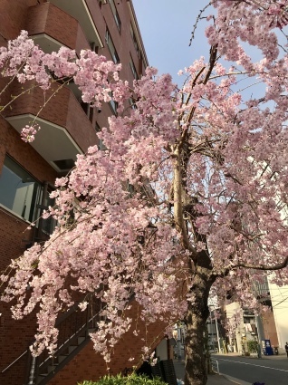 f0105276_01581312.jpeg