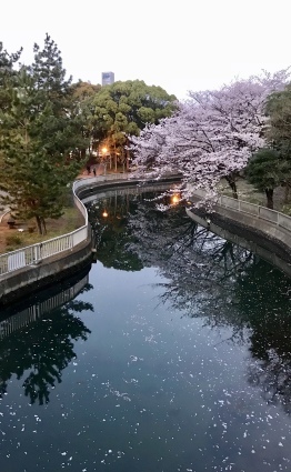 f0105276_02073098.jpeg