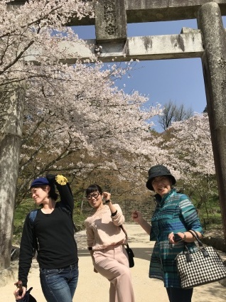 Hanami2050 の Tuduki です_d0048577_00521904.jpeg