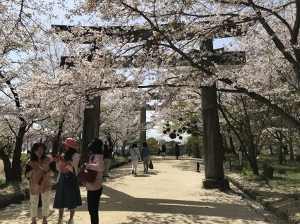 Hanami2050 の Tuduki です_d0048577_01024787.jpeg