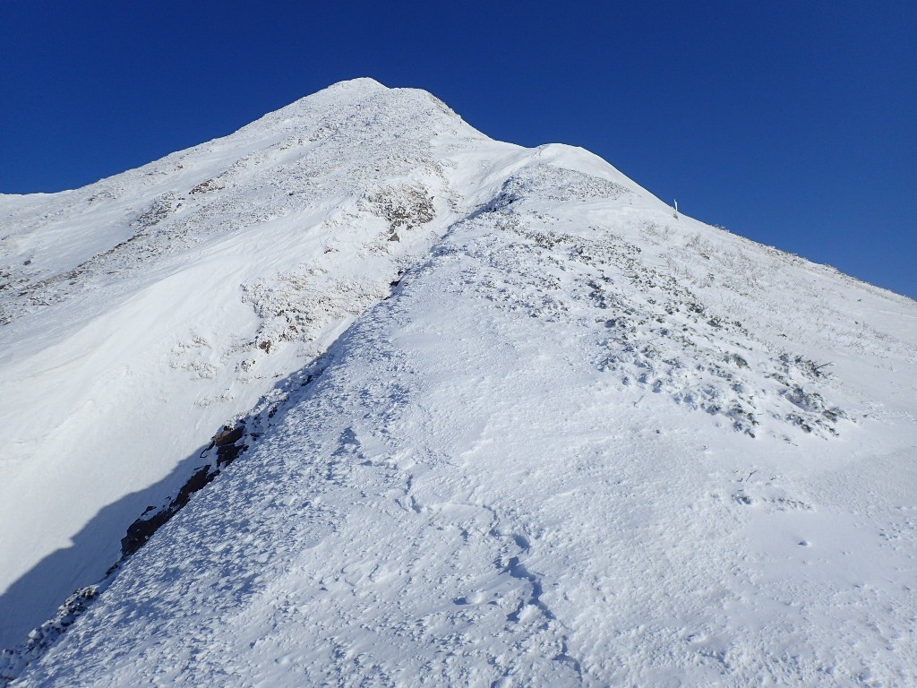 a0141678_12444947.jpg