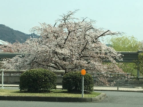 f0347891_05164360.jpeg