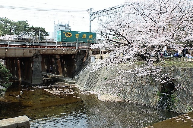 藤田八束の鉄道写真＠春爛漫貨物列車写真は最高です、カシオのデジカメとキヤノンの一眼で素敵な写真_d0181492_00533867.jpg