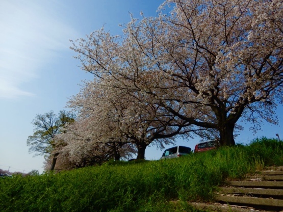 b0349795_07091173.jpg