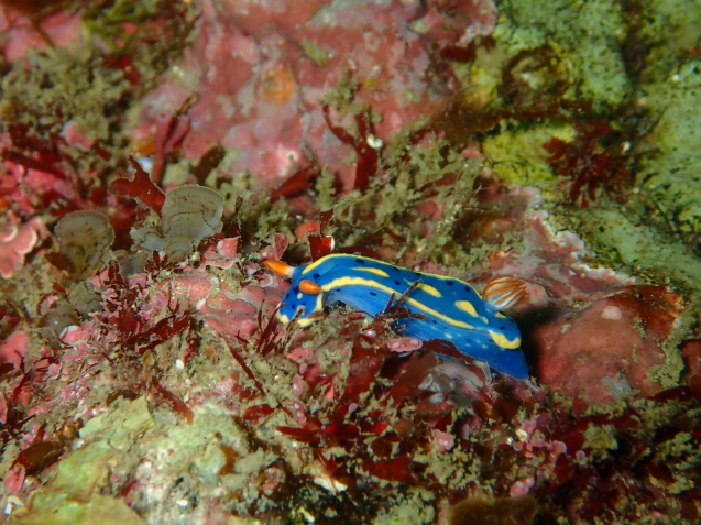 e0115199_18184542.jpg