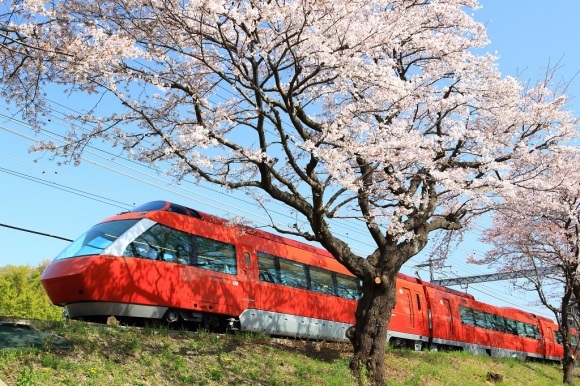 座間桜と小田急線 飛行機 鉄道写真館