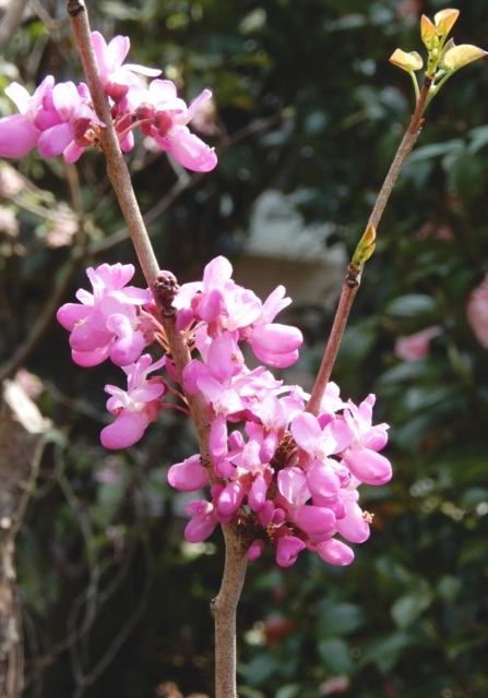 e0025300_17394623.jpg