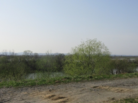 a0203003_17285038.jpg