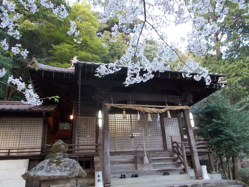 c0192503_24581.jpg