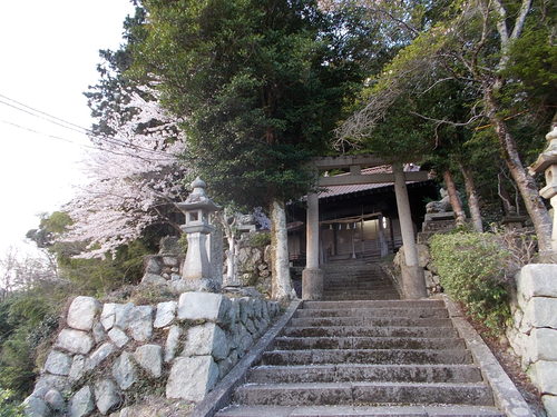 c0192503_254744.jpg