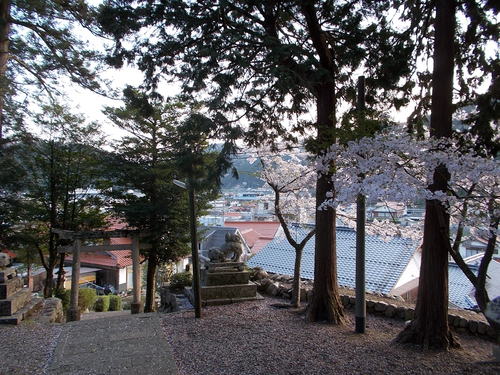 c0192503_25897.jpg