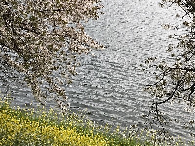 d0180506_22465971.jpg