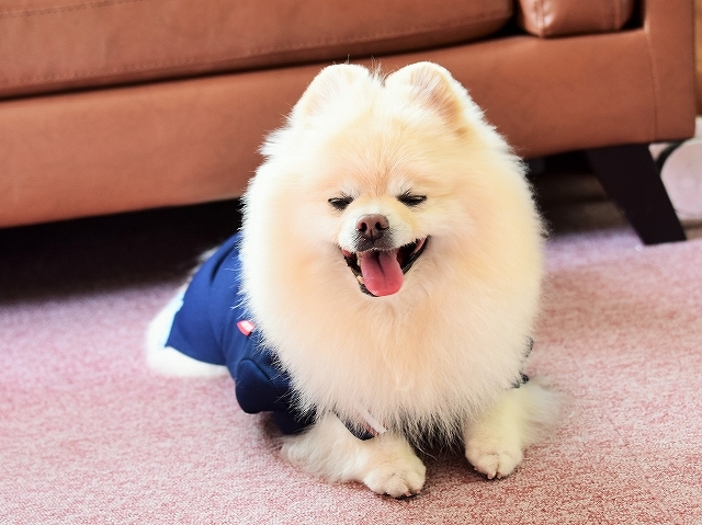なんと驚きの初稼働_d0360206_01460146.jpg