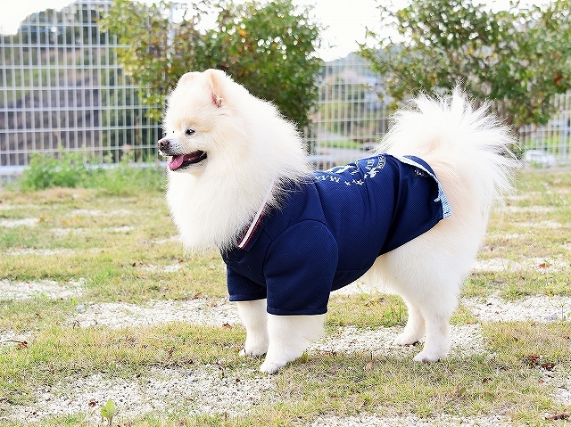 平静なこころ_d0360206_03564534.jpg