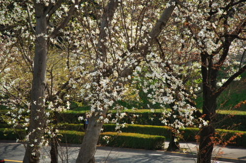 a0263109_19523506.jpg
