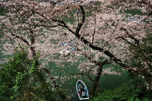 a0263109_19544284.jpg