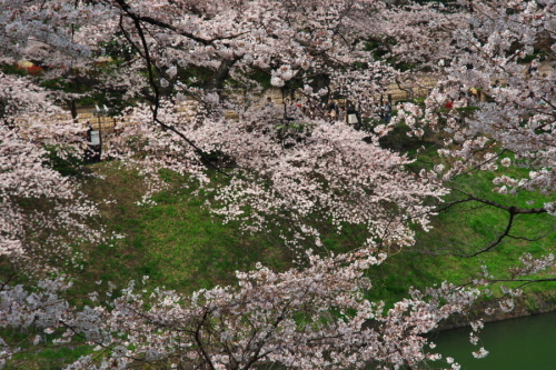 a0263109_19555040.jpg