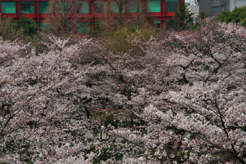 a0263109_19555220.jpg
