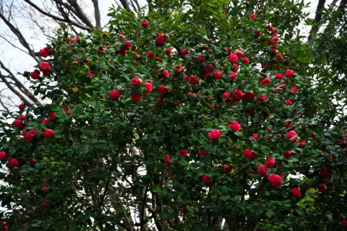 a0263109_19562059.jpg
