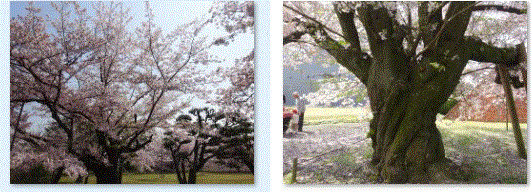 f0231709_13404795.gif
