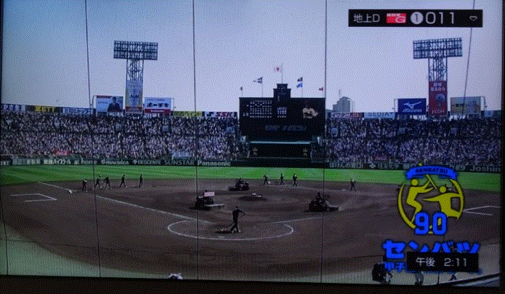 f0231709_17325947.gif