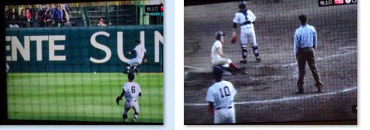 f0231709_17350741.gif