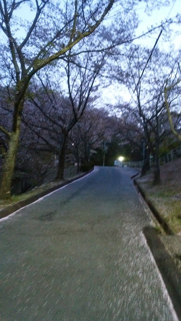 e0099212_22364359.jpg