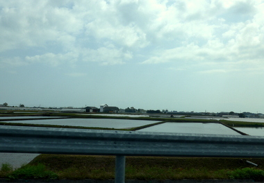 a0238314_16104919.jpg