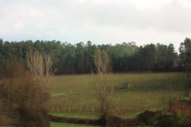 b0358719_11235229.jpg