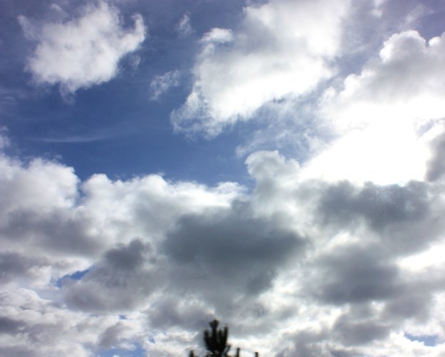 b0358719_11253681.jpg