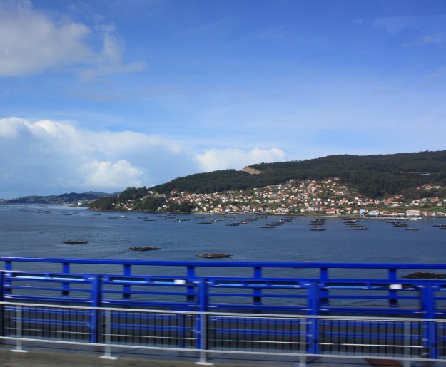 b0358719_11270011.jpg