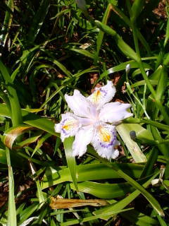 c0074721_15345366.jpg