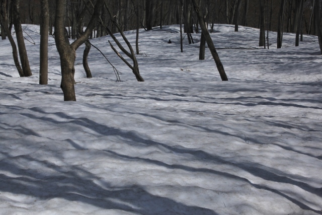 ～　残雪の里山歩き　白池　～_e0242721_06122590.jpg