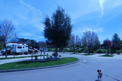 b0368324_05340110.jpg