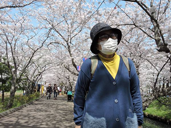 海老川の桜　’18_d0065324_074969.jpg