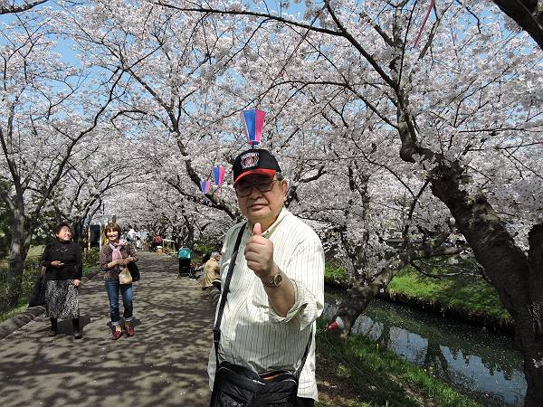 海老川の桜　’18_d0065324_084924.jpg