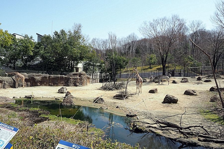 f0224624_12174219.jpg
