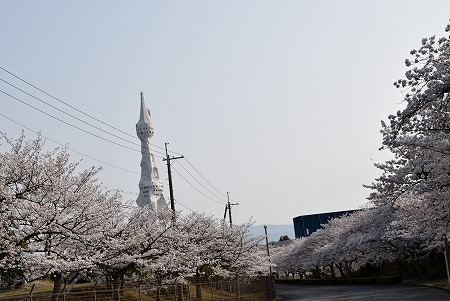 PL大平和祈念塔の枝垂れ桜とソメイヨシノ_a0262928_2264929.jpg