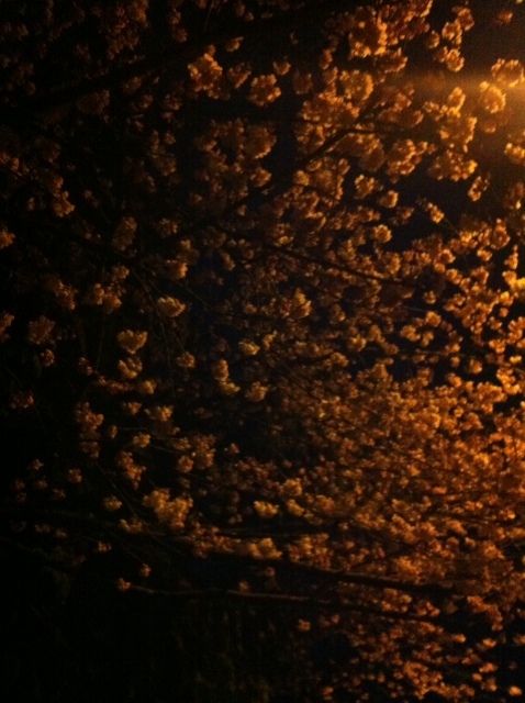 b0221428_09412022.jpeg