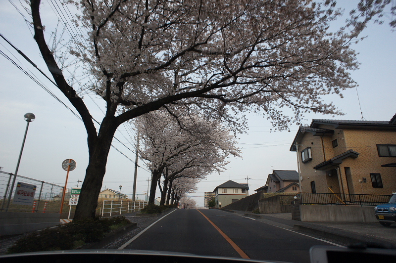 a0222229_361375.jpg